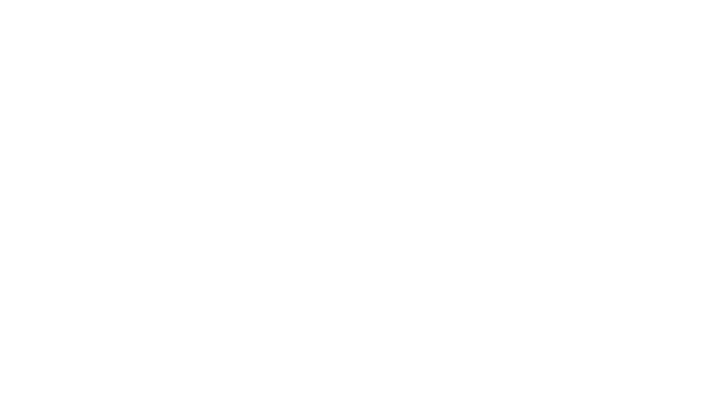 Newton & Co Accountants